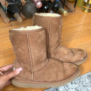 Chestnut Classic Short Ugg Boots